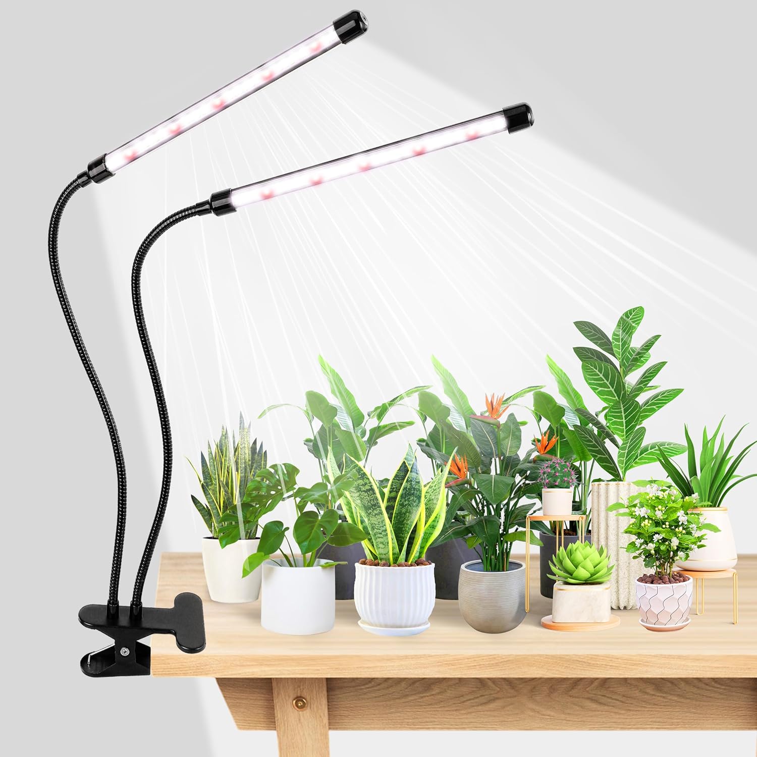 KEBINCPLED USB 5V Clip Plant G - đánh giá và giá Hydroponic Grow Pod