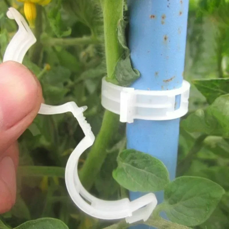 Plant Support Clips Reusable P - đánh giá và giá Smart Garden Kit