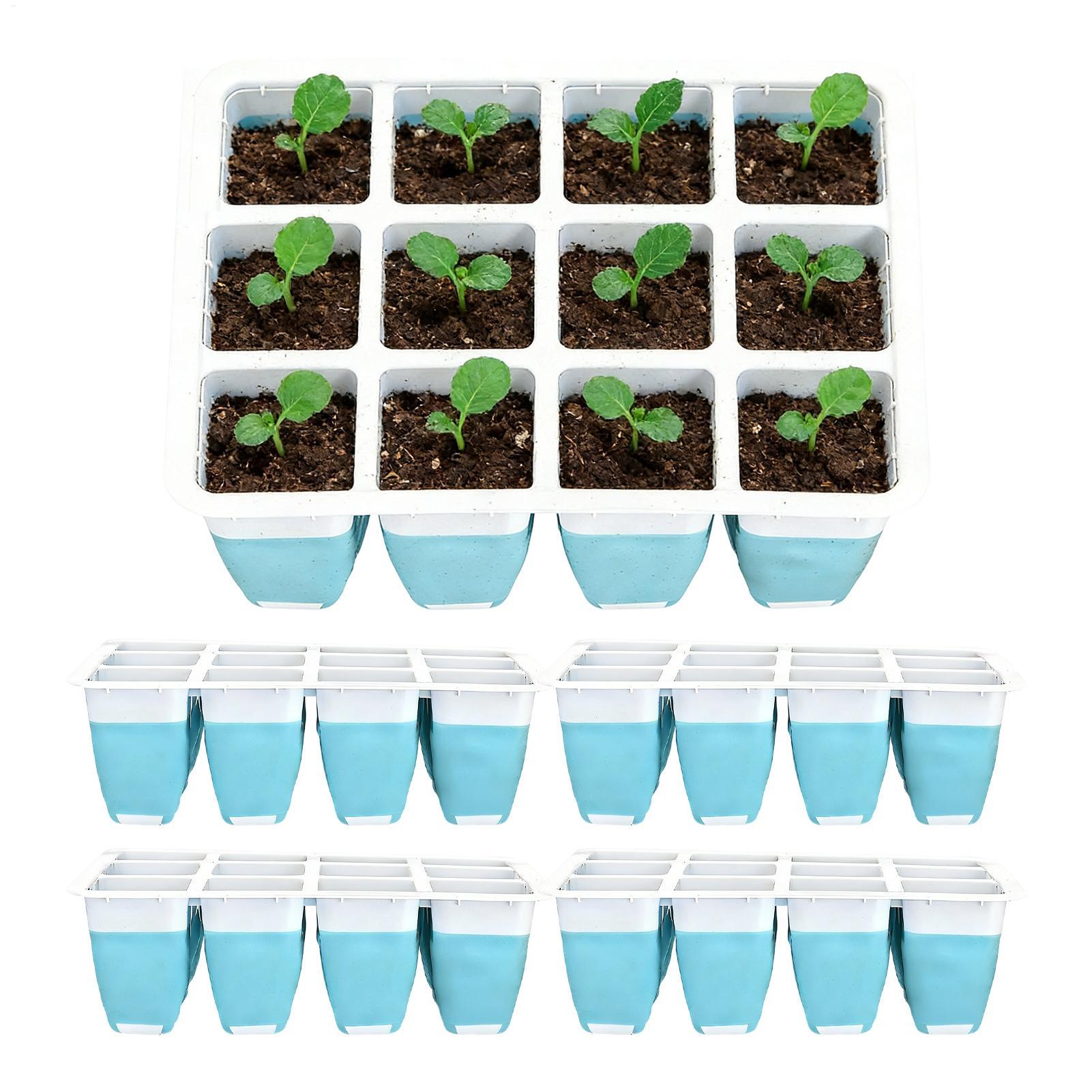 5 Pack Silicone Seed Starter T - đánh giá và giá Indoor Garden Kit