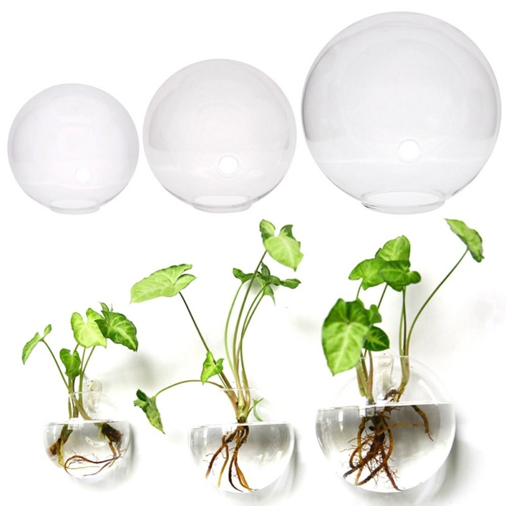 Transparent Glass Vase Wall Ha - đánh giá và giá Hydroponic Grow Pod