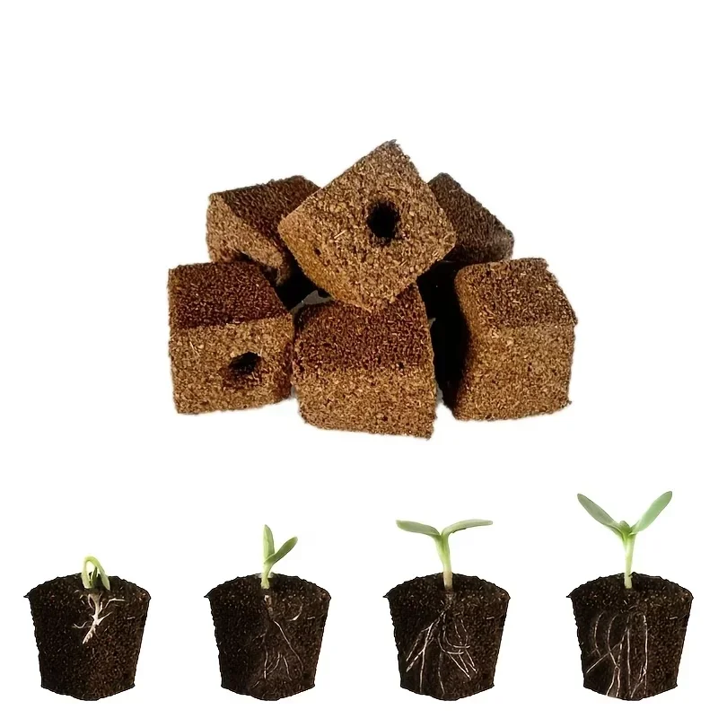 Seedling Starter Sponge Kit fo - đánh giá và giá Indoor Garden Kit