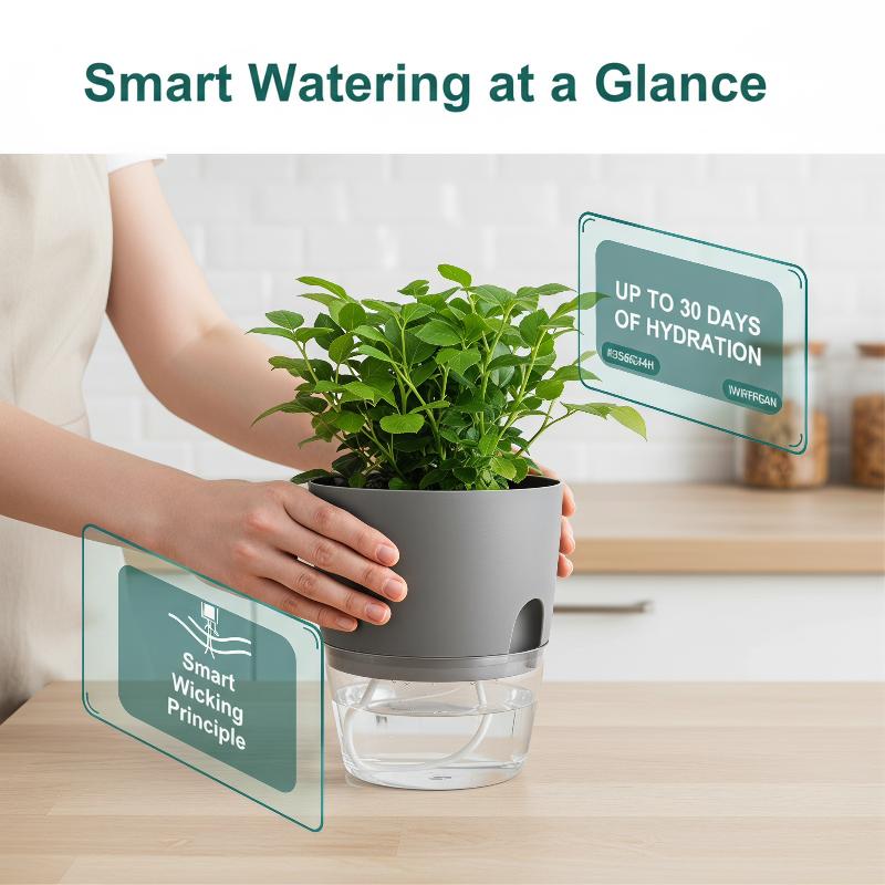 1Pcs Plastic Planters Transpar - đánh giá và giá Hydroponic Grow Pod
