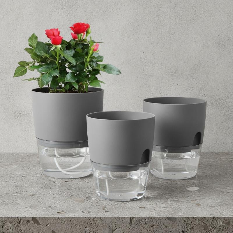 1Pcs Plastic Planters Transpar - đánh giá và giá Hydroponic Grow Pod