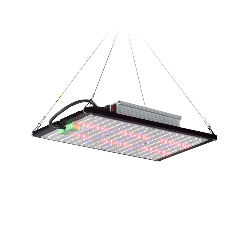 LED Quantum‑Board Grow Light F - đánh giá và giá Plant Grow Light Full Spectrum